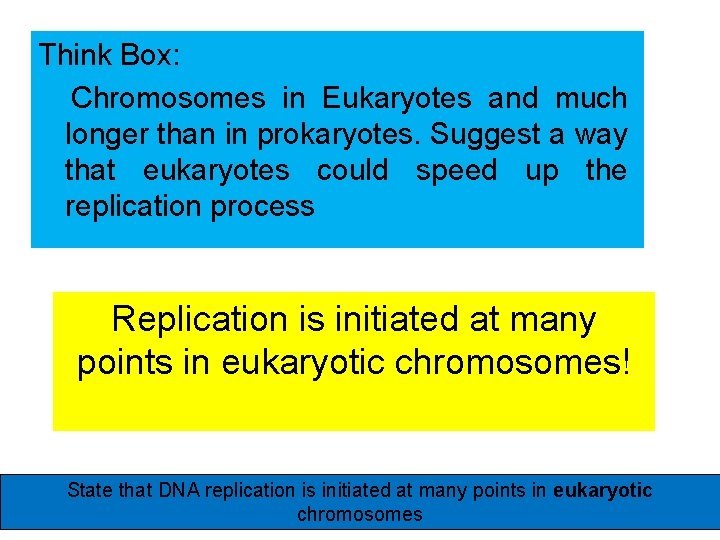 Think Box: Chromosomes in Eukaryotes and much longer than in prokaryotes. Suggest a way Think Box: Chromosomes in Eukaryotes and much longer than in prokaryotes. Suggest a way