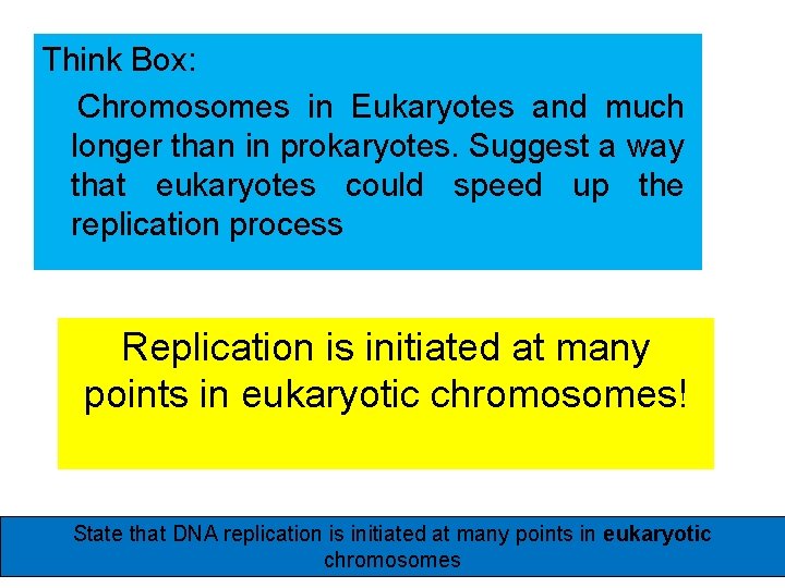 Think Box: Chromosomes in Eukaryotes and much longer than in prokaryotes. Suggest a way