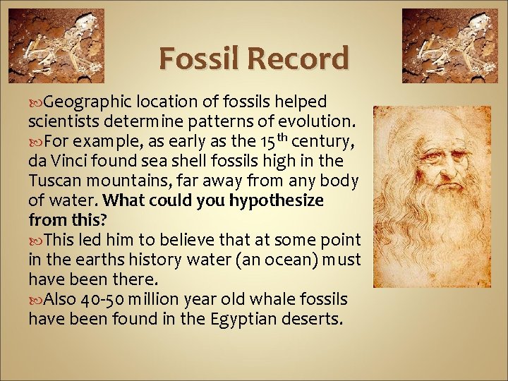 Fossil Record Geographic location of fossils helped scientists determine patterns of evolution. For example,