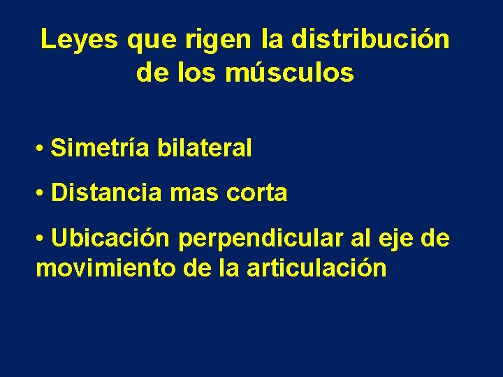 Leyes que rigen la distribución de los músculos • Simetría bilateral • Distancia mas