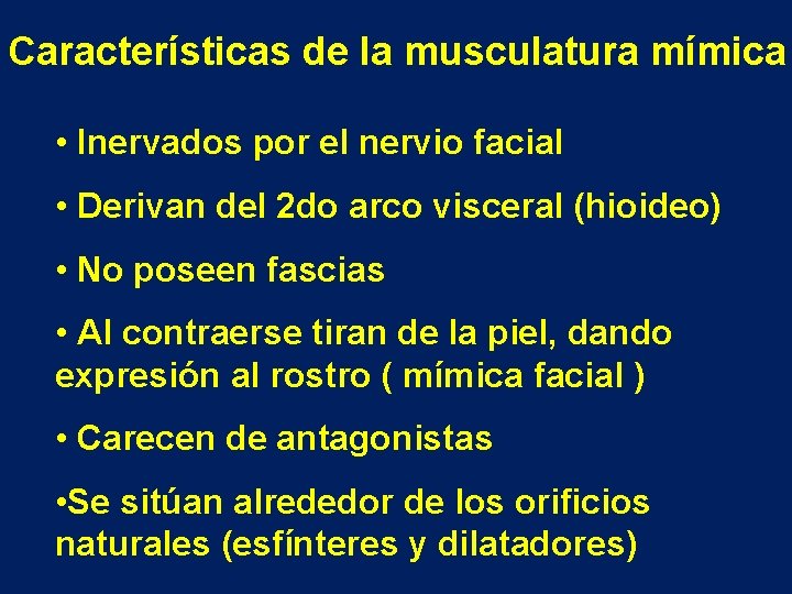 Características de la musculatura mímica • Inervados por el nervio facial • Derivan del