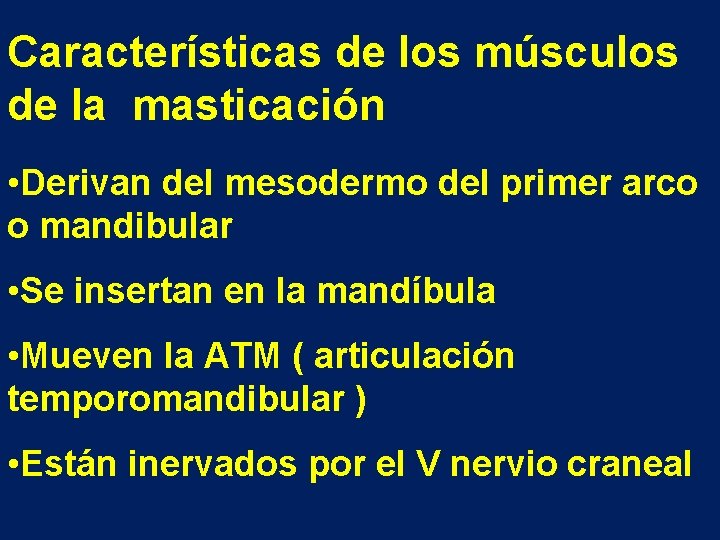 Características de los músculos de la masticación • Derivan del mesodermo del primer arco