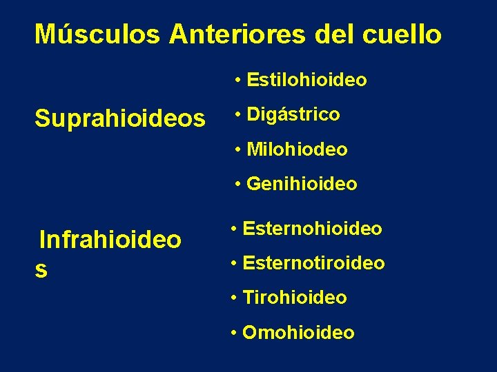 Músculos Anteriores del cuello • Estilohioideo Suprahioideos • Digástrico • Milohiodeo • Genihioideo Infrahioideo