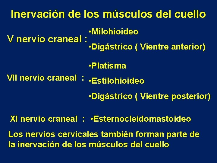 Inervación de los músculos del cuello V nervio craneal : • Milohioideo • Digástrico