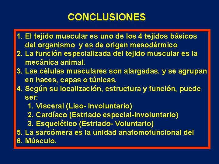 CONCLUSIONES 1. El tejido muscular es uno de los 4 tejidos básicos del organismo