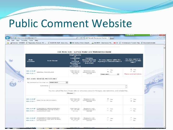 Public Comment Website 