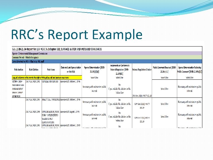 RRC’s Report Example 