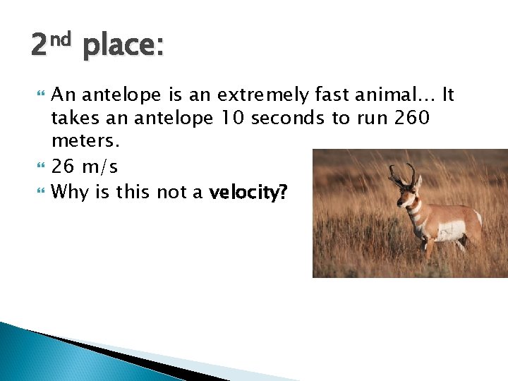 2 nd place: An antelope is an extremely fast animal… It takes an antelope