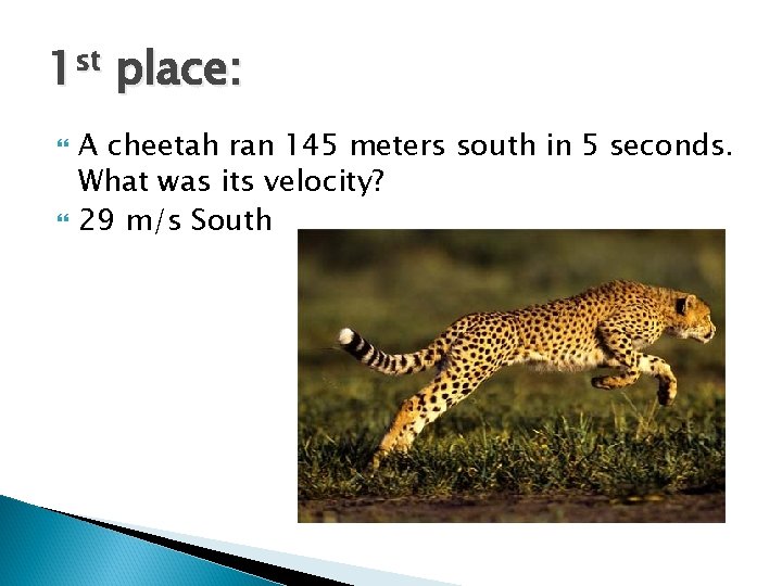 1 st place: A cheetah ran 145 meters south in 5 seconds. What was