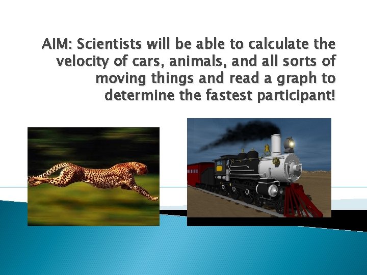 AIM: Scientists will be able to calculate the velocity of cars, animals, and all