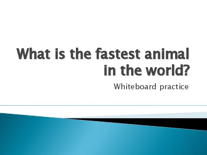 What is the fastest animal in the world? Whiteboard practice 