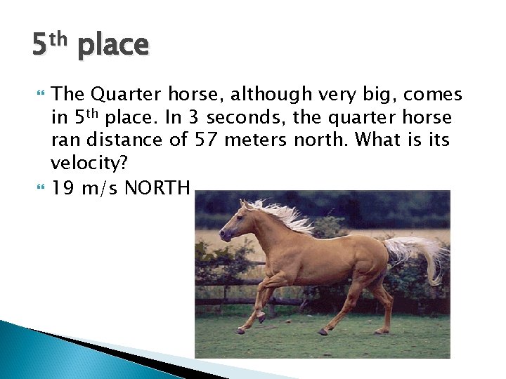 5 th place The Quarter horse, although very big, comes in 5 th place.