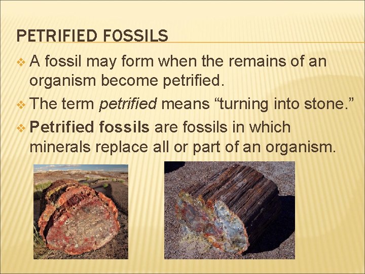 PETRIFIED FOSSILS v. A fossil may form when the remains of an organism become
