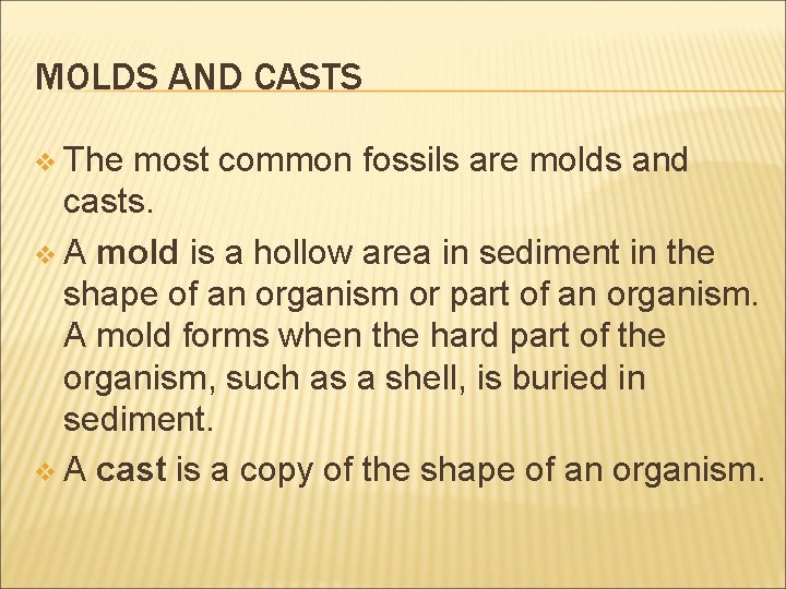 MOLDS AND CASTS v The most common fossils are molds and casts. v A