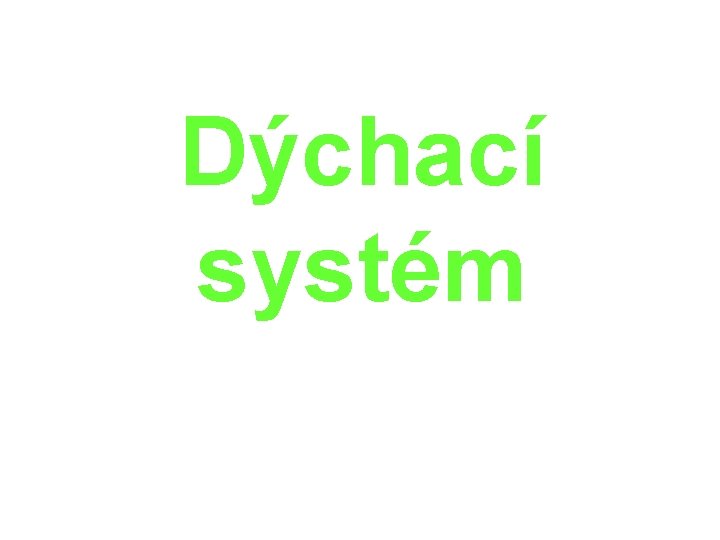 Dýchací systém 