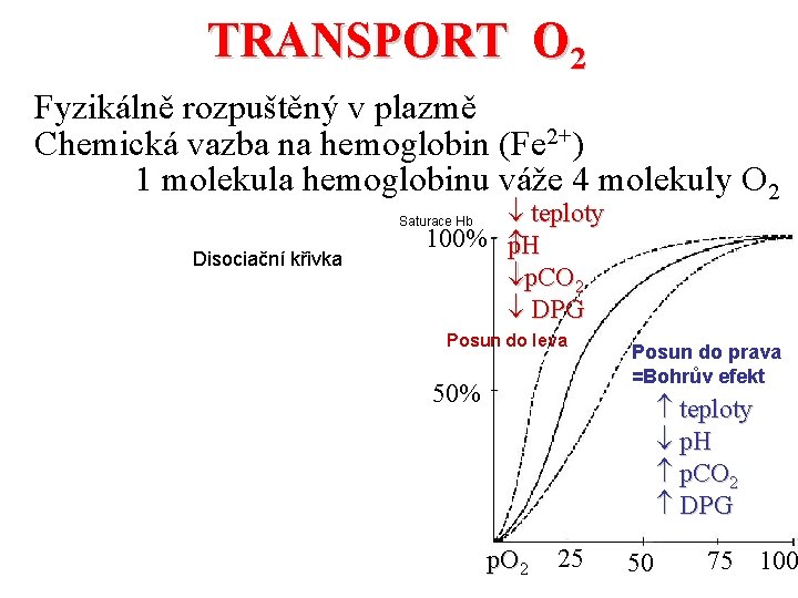 TRANSPORT O 2 Fyzikálně rozpuštěný v plazmě Chemická vazba na hemoglobin (Fe 2+) 1
