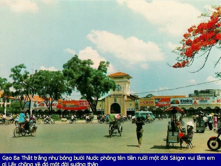 Gạo Ba Thắt trắng như bông bưởi Nước phông tên tiền rưỡi một đôi