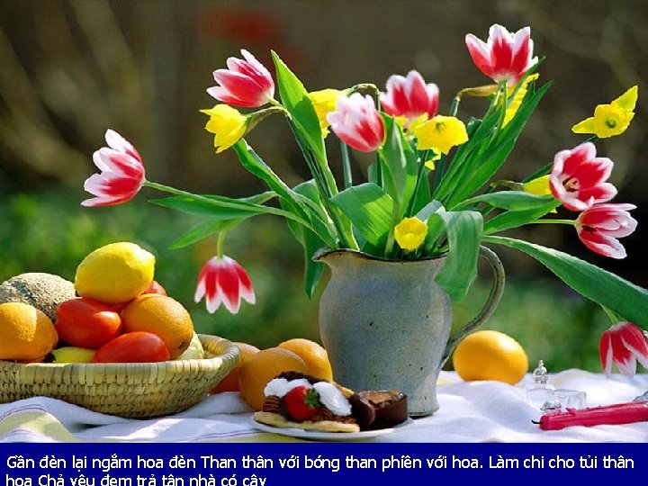 Gần đèn lại ngắm hoa đèn Than thân với bóng than phiền với hoa.