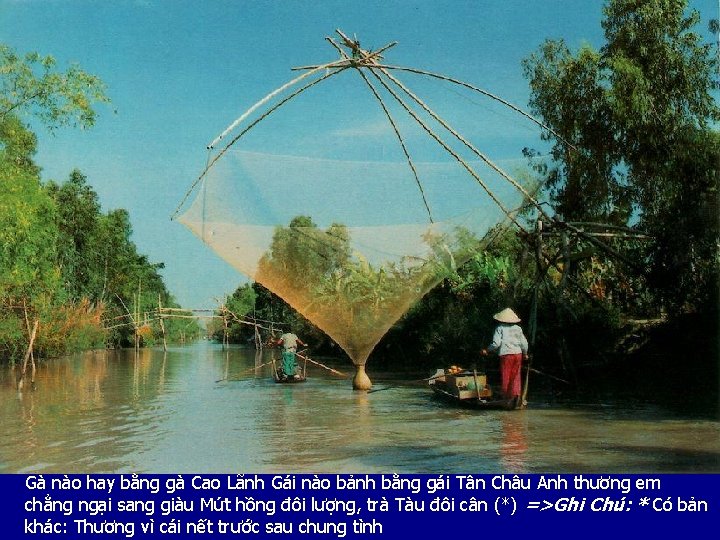 Gà nào hay bằng gà Cao Lãnh Gái nào bảnh bằng gái Tân Châu