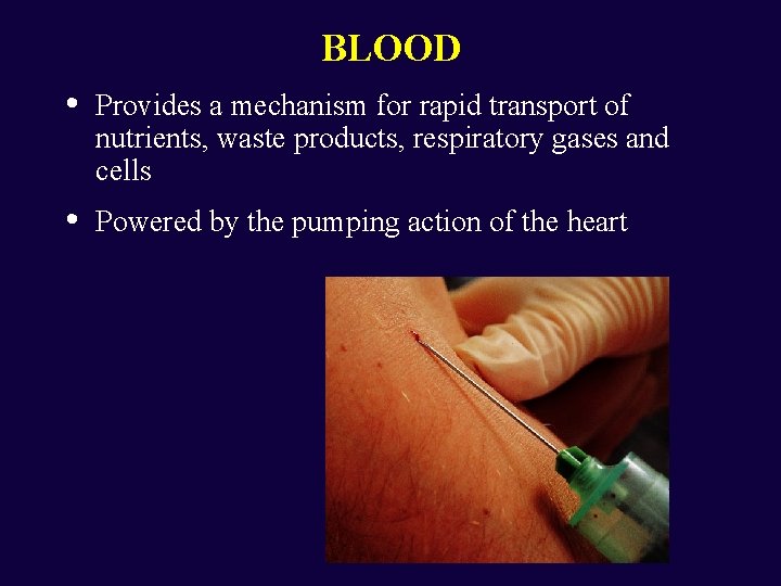 BLOOD • Provides a mechanism for rapid transport of nutrients, waste products, respiratory gases
