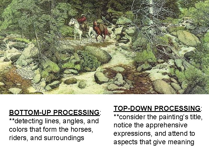 BOTTOM-UP PROCESSING: **detecting lines, angles, and colors that form the horses, riders, and surroundings