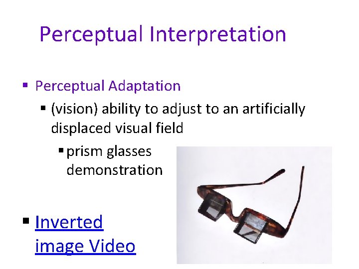 Perceptual Interpretation § Perceptual Adaptation § (vision) ability to adjust to an artificially displaced