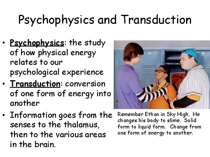 Psychophysics and Transduction • Psychophysics: the study of how physical energy relates to our