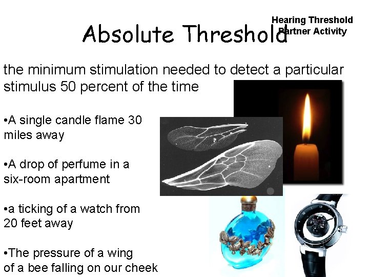 Hearing Threshold Partner Activity Absolute Threshold the minimum stimulation needed to detect a particular