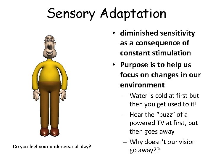 Sensory Adaptation • diminished sensitivity as a consequence of constant stimulation • Purpose is