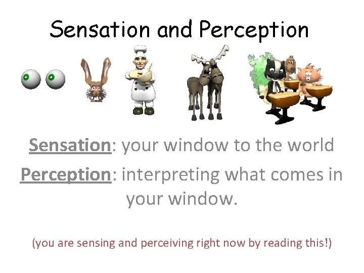 Sensation and Perception Sensation: your window to the world Perception: interpreting what comes in