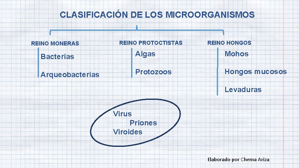 CLASIFICACIÓN DE LOS MICROORGANISMOS REINO MONERAS REINO PROTOCTISTAS REINO HONGOS Bacterias Algas Mohos Arqueobacterias