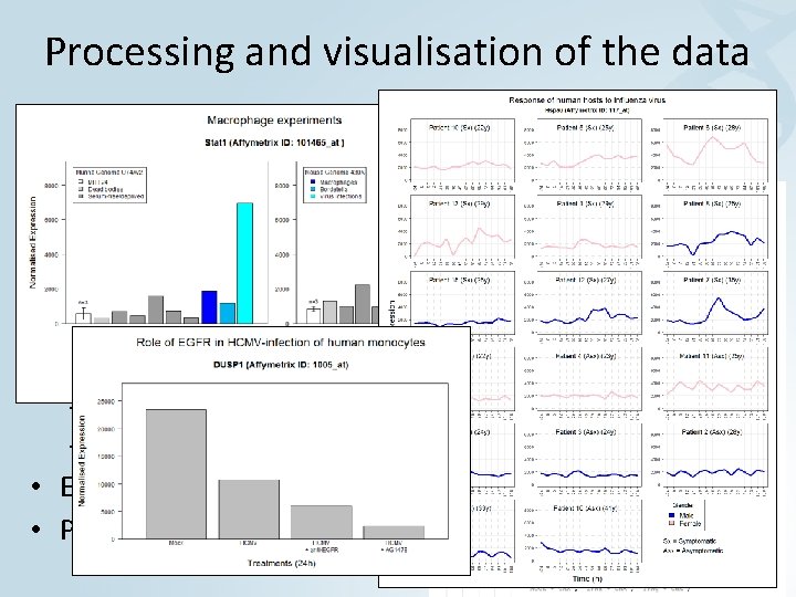 Processing and visualisation of the data • Retrieve data and annotations • Normalise data