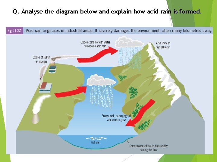 Q. Analyse the diagram below and explain how acid rain is formed. 