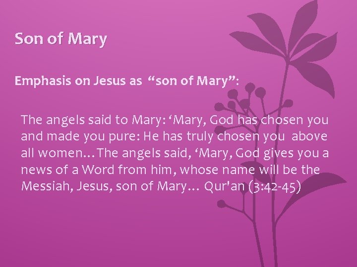 Son of Mary Emphasis on Jesus as “son of Mary”: The angels said to
