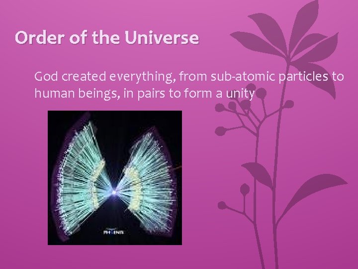 Order of the Universe God created everything, from sub-atomic particles to human beings, in