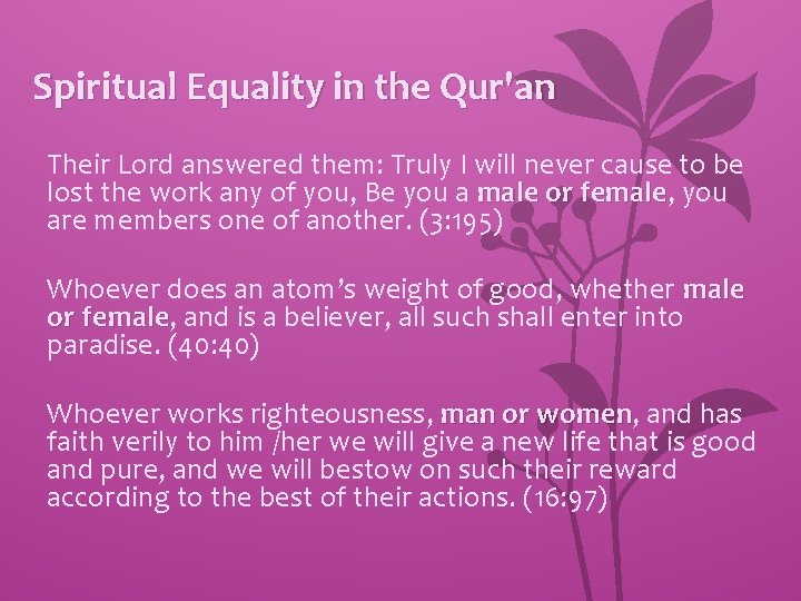 Spiritual Equality in the Qur'an Their Lord answered them: Truly I will never cause