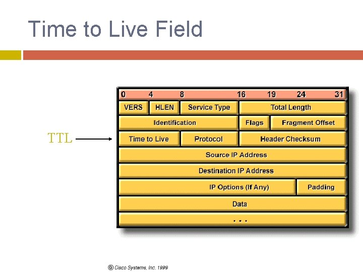 Time to Live Field TTL 