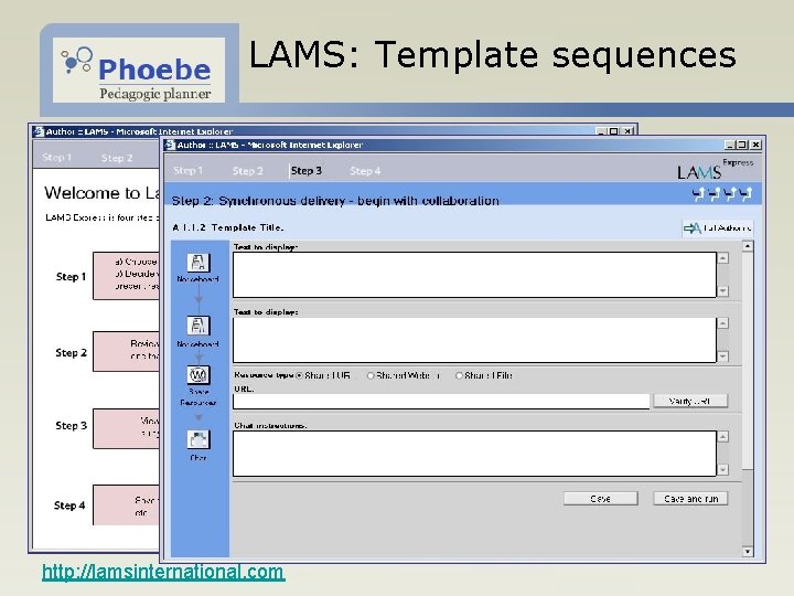 LAMS: Template sequences http: //lamsinternational. com 