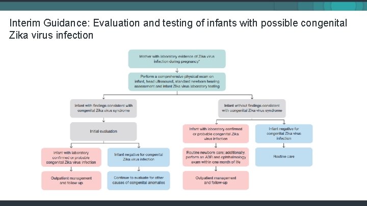 Interim Guidance: Evaluation and testing of infants with possible congenital Zika virus infection 