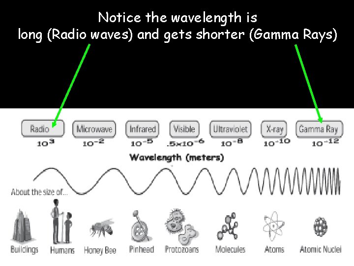 Notice the wavelength is long (Radio waves) and gets shorter (Gamma Rays) 