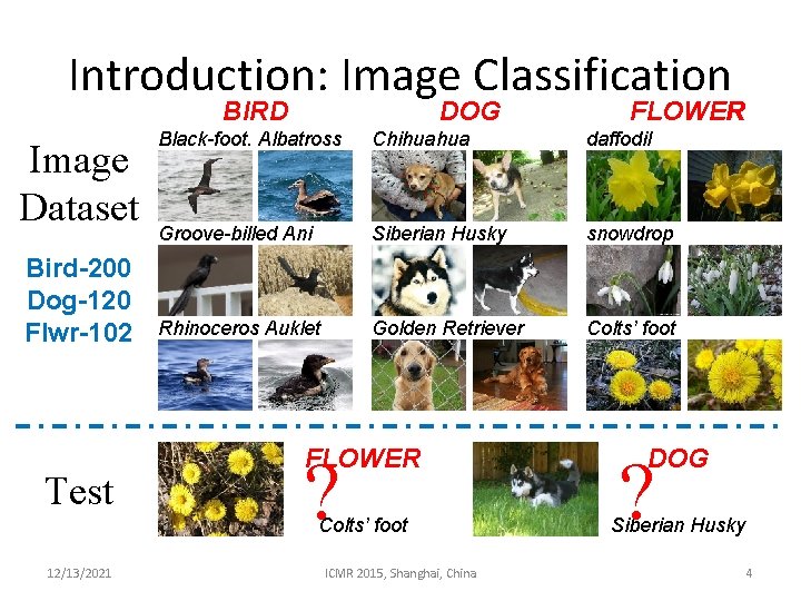 Introduction: Image Classification BIRD Image Dataset Bird-200 Dog-120 Flwr-102 Test DOG Black-foot. Albatross Chihuahua