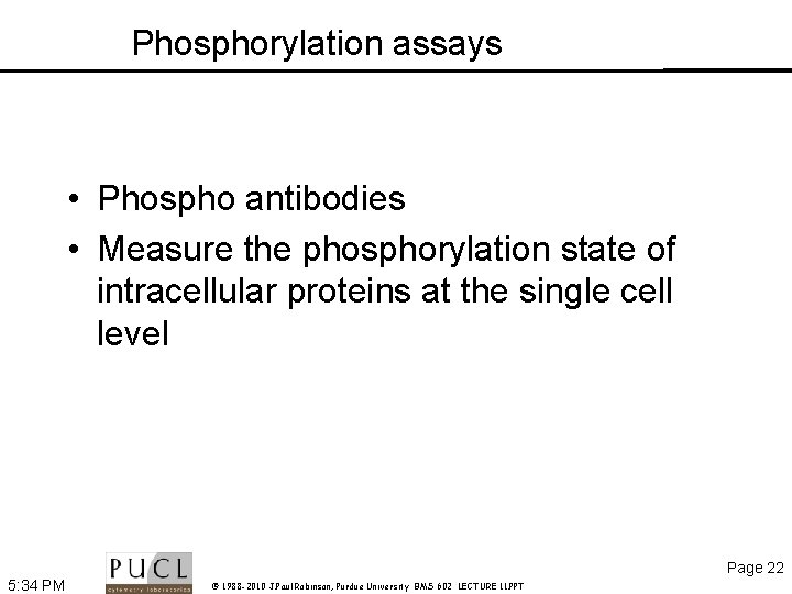 Phosphorylation assays • Phospho antibodies • Measure the phosphorylation state of intracellular proteins at