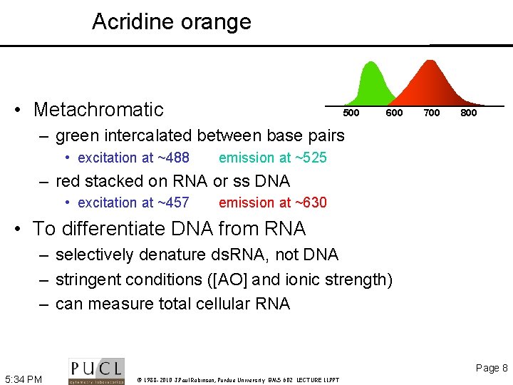 Acridine orange • Metachromatic 500 600 700 800 – green intercalated between base pairs