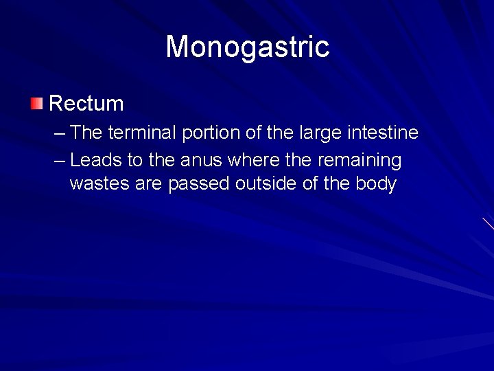 Monogastric Rectum – The terminal portion of the large intestine – Leads to the
