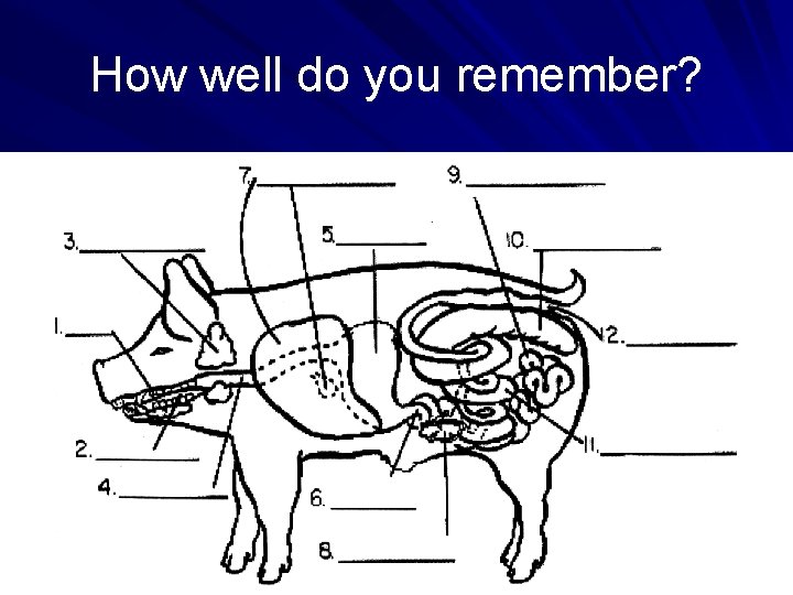 How well do you remember? 