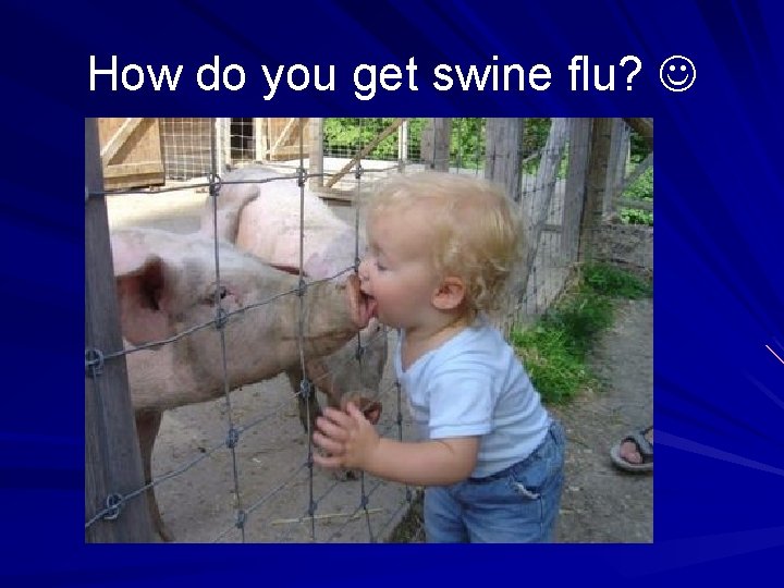 How do you get swine flu? 