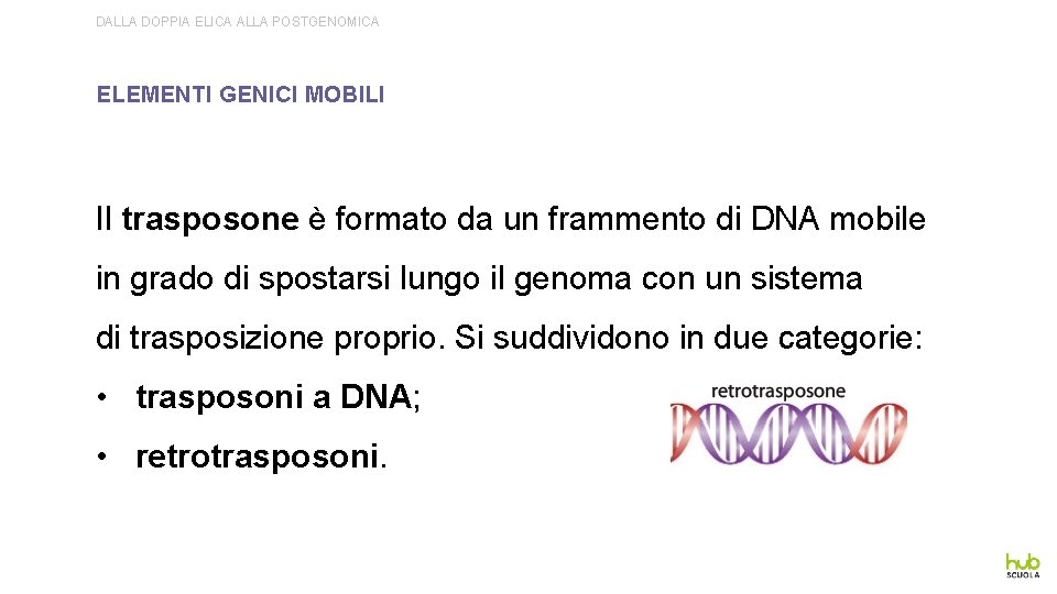 DALLA DOPPIA ELICA ALLA POSTGENOMICA ELEMENTI GENICI MOBILI Il trasposone è formato da un