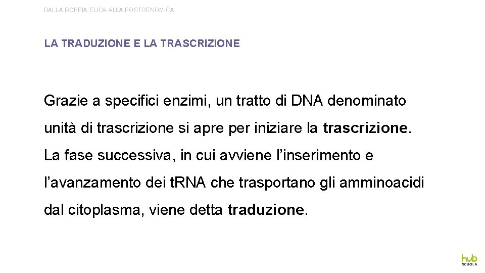 DALLA DOPPIA ELICA ALLA POSTGENOMICA LA TRADUZIONE E LA TRASCRIZIONE Grazie a specifici enzimi,