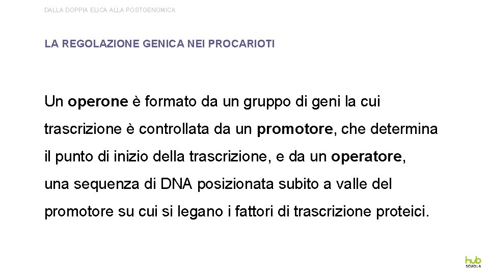 DALLA DOPPIA ELICA ALLA POSTGENOMICA LA REGOLAZIONE GENICA NEI PROCARIOTI Un operone è formato