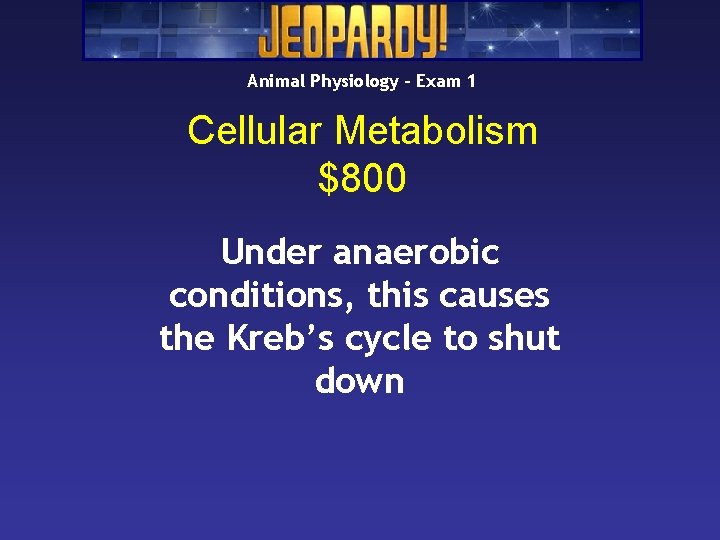 Animal Physiology – Exam 1 Cellular Metabolism $800 Under anaerobic conditions, this causes the